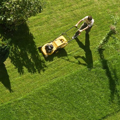 Lawn Maintenance Service